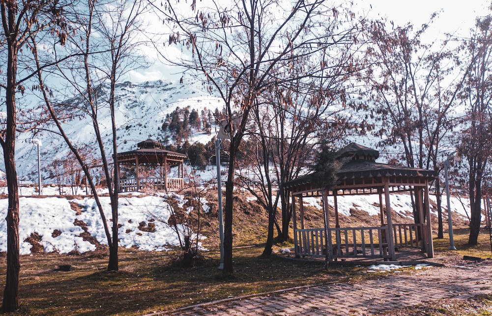 Bahçeniz İçin Yaratıcı Bir Yapı: Pergola