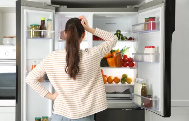 En uygun buzdolabı önerileriniz?