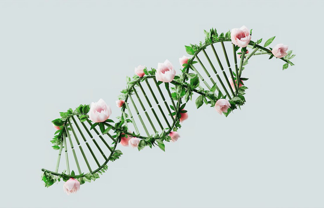 Evde Biyoteknoloji: Kendi Bitki Genetik Mühendisliği Setleri